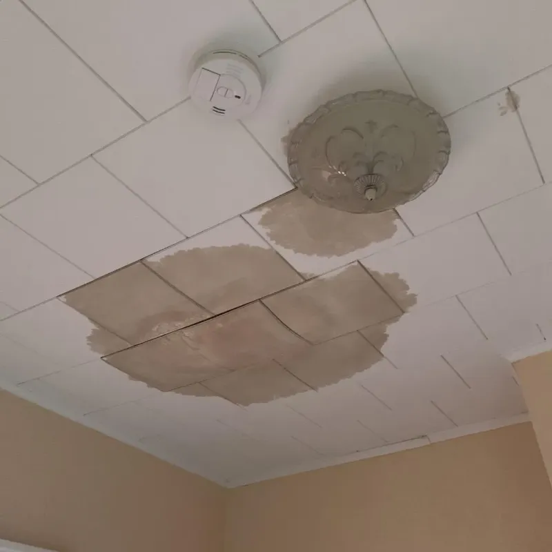 Ceiling Water Damage Repair in Monroe County, PA