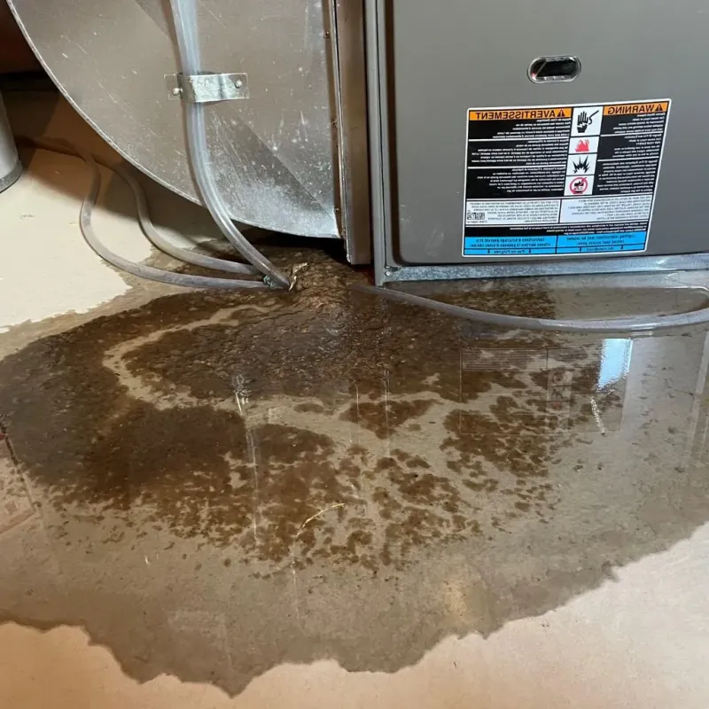 Pipe Burst and Leak Restoration in Monroe County, PA